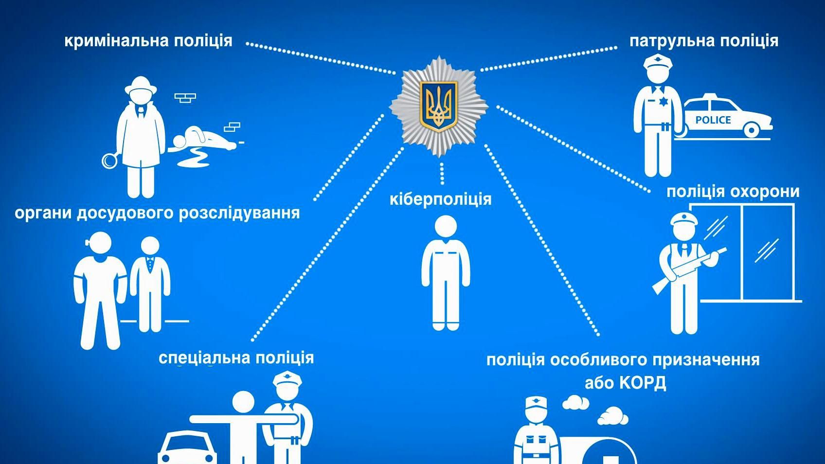 Види поліції- повний розбір